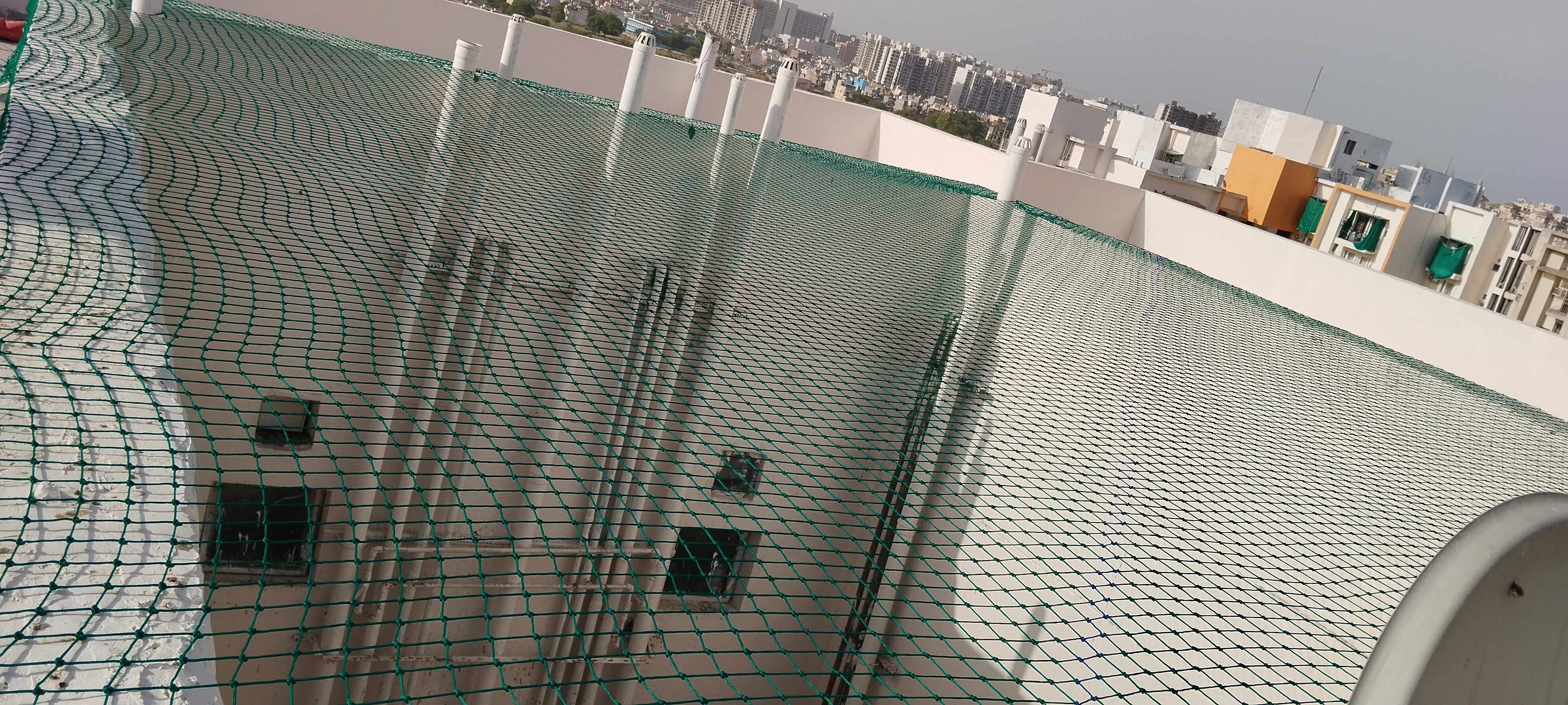 Pigeon Control Net Delhi