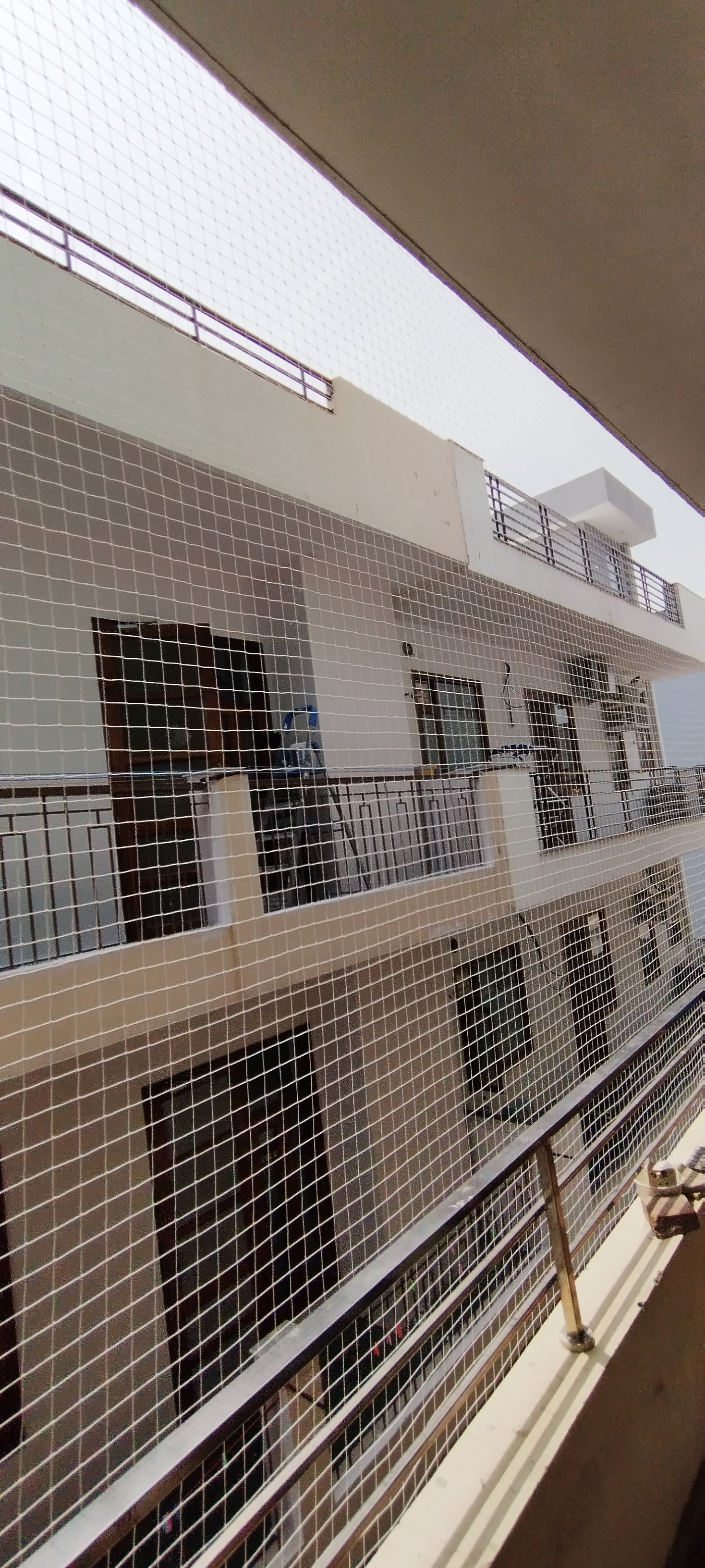 Anti Bird Net Installation