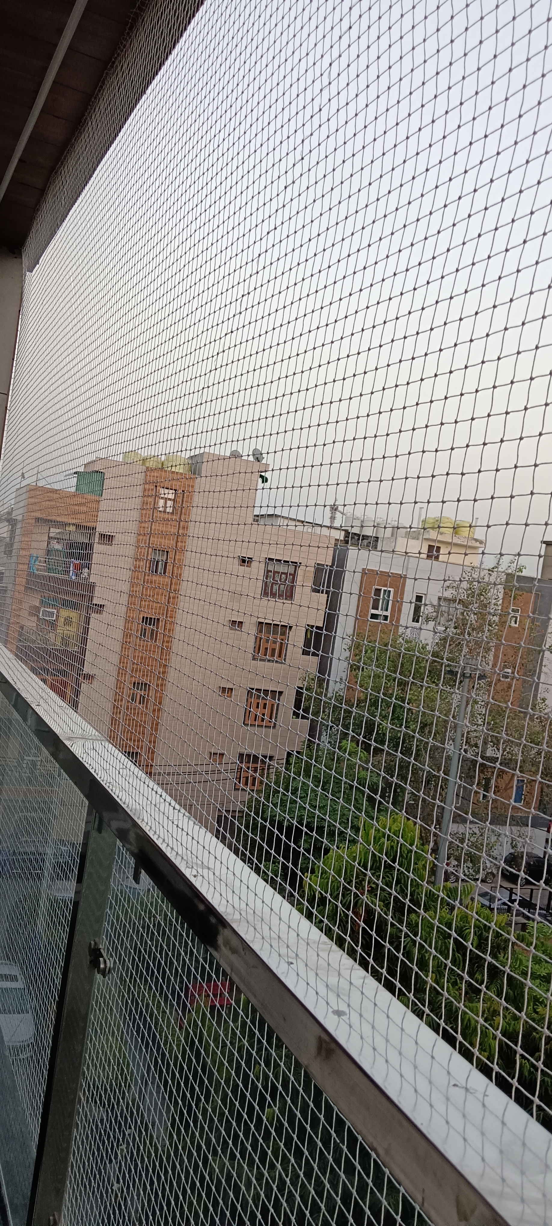 Bird Spikes Installation Delhi