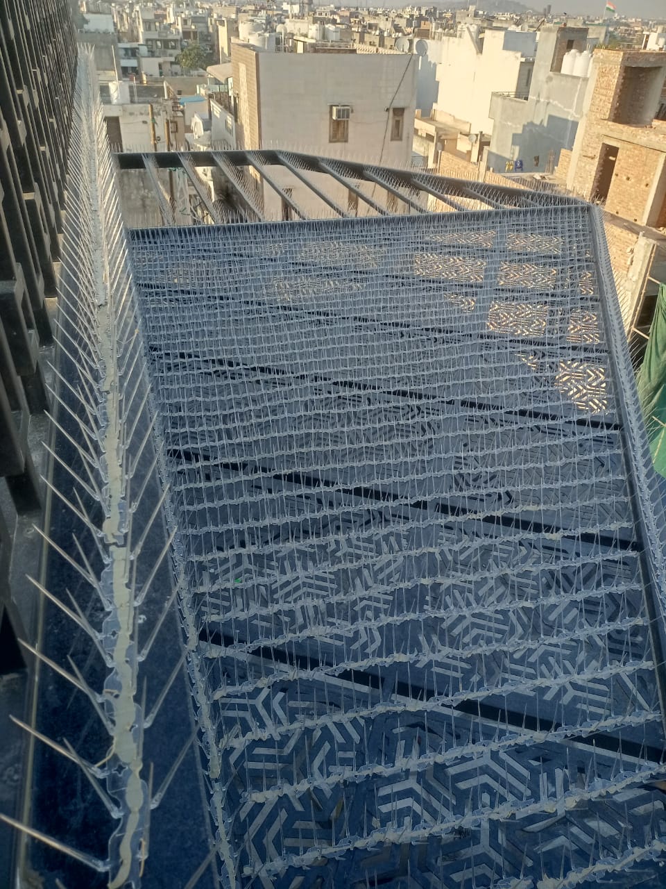 SS Bird Spikes Installation