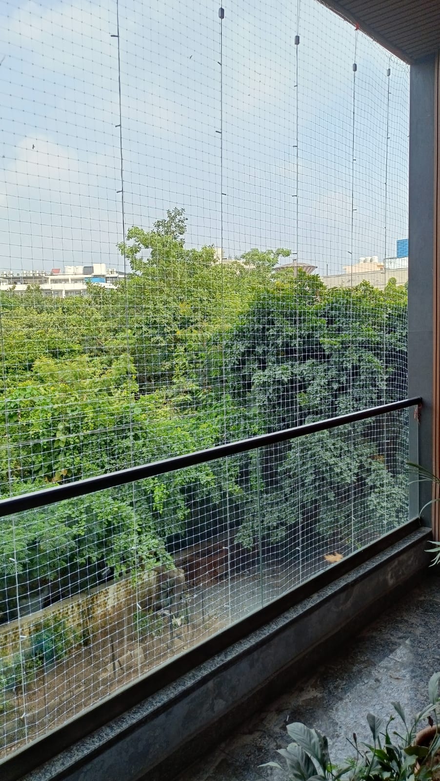 Bird exclusion netting Delhi NCR