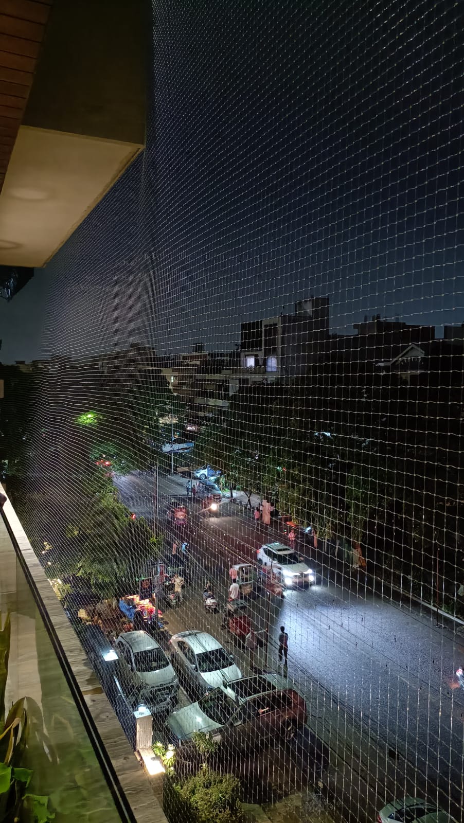 Professional anti bird net installation