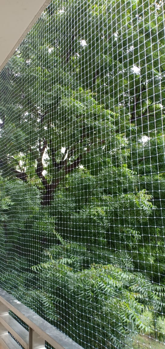 Sparrow net on AC unit ventilation