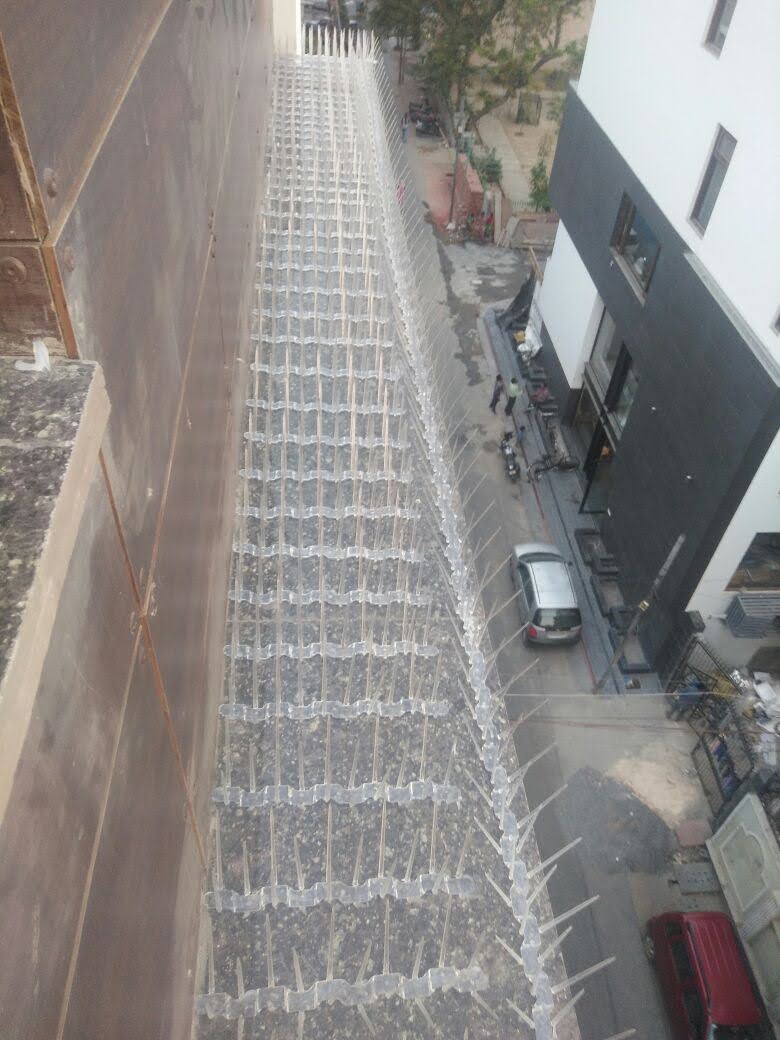 Fine mesh sparrow exclusion net Delhi